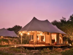 Sawai Shivir Ranthambore by Tutc