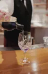Mirabell Alpine Garden Resort & Spa - bar