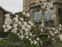 Turks Hall Hotels in Bruton