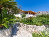 Apartments Djurkovic Hotels in Mlini
