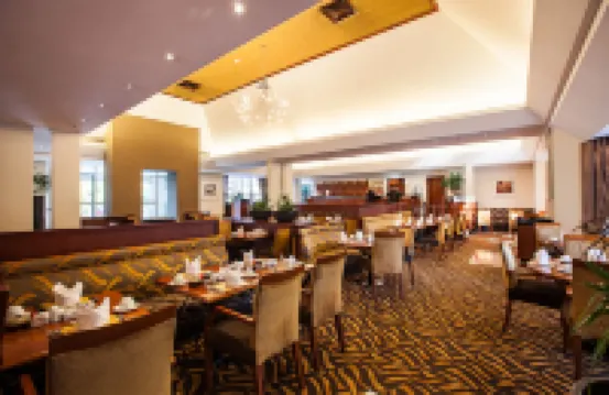 城市小屋酒店-開普敦松林 開普敦酒店