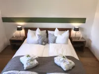فيرينوونونغين زوغسبيتز - غرفة مطلة على الجبل