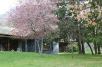 Hostel El Oso Pardo - Hostels