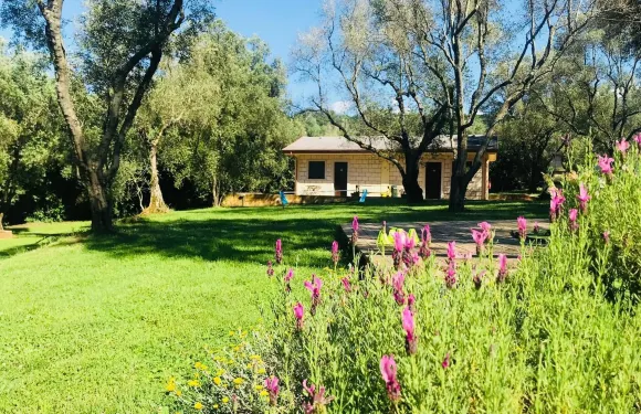 綠公園住宅酒店