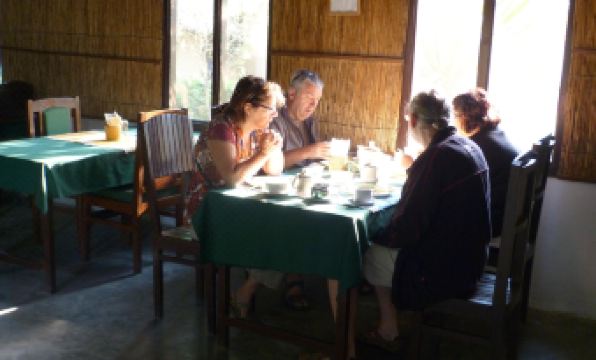 Nature Safari Resort