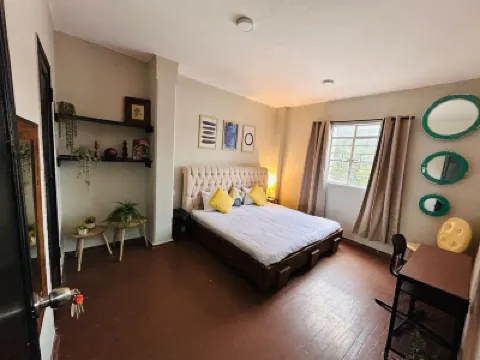 Singular Centro Histórico Hotels near Palacio de Bellas Artes