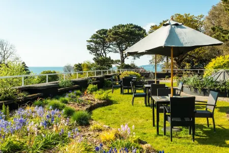 Cliffden Hotel Отели в г. Долиш