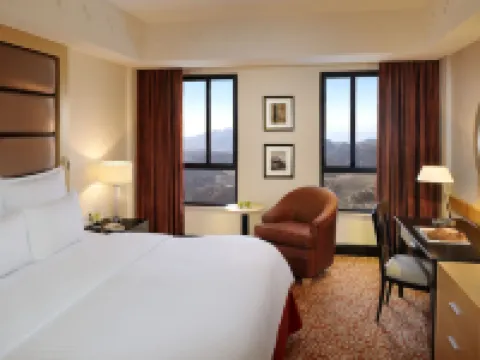 Petra Marriott Hotel Hotels in Petra