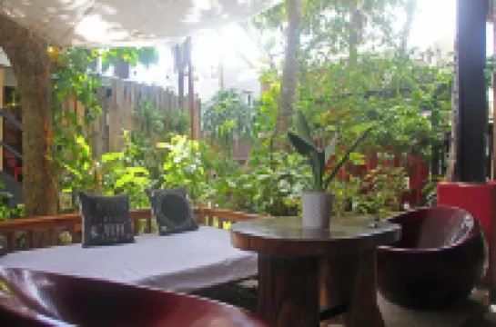 레이지 도그 베드 & 브렉퍼스트