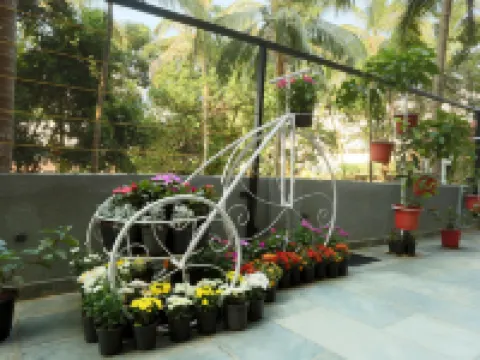 Resort the Lohias, Goa Candolim Hotels in Candolim