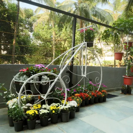 Resort the Lohias, Goa Candolim