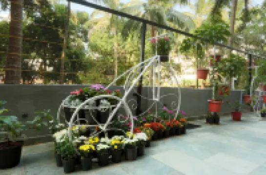 Resort the Lohias, Goa Candolim