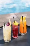 Pullman Santiago Vitacura - bar
