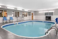 Best Western Kokomo Hotel Hotels in Kokomo