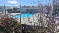 Tomales Bay Lodge and Marina Inc - ติดทะเล
