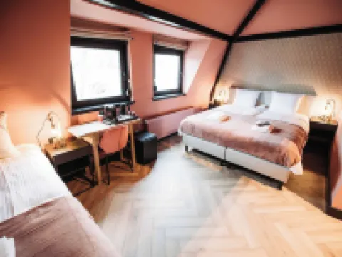 Boutique Hotel Lupo 弗利辛恩酒店