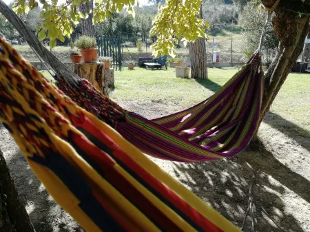 Baduerughe Отели в г. Монтополи-ди-Сабина