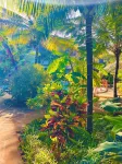 Tropical Nungwi Hotel di 