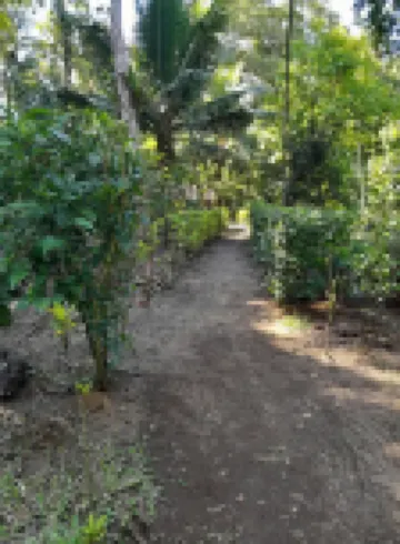 エコホテル・バイア・テルコ のホテル