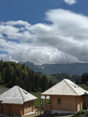 Andolia Hotels near Magura