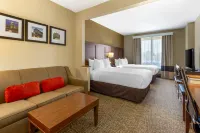 Comfort Suites Raleigh Walnut Creek Hôtels à : Comte de Wake