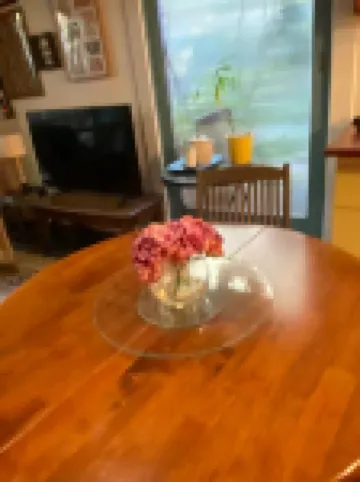 This pet friendly retreat is excellent to relax over looking a "rain forest