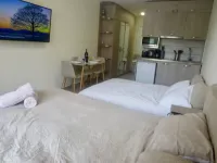New Gudauri Smart Apartment Loft1, #344.  2 min. walk to Gondola