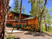 Rustic 2 Bedroom Cabin 1 in a Peaceful Forest! Hotels in Pinetop-Lakeside
