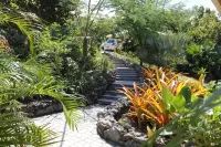 Secluded, exclusive, totally private luxury villa overlooking the prettiest bay.  호텔