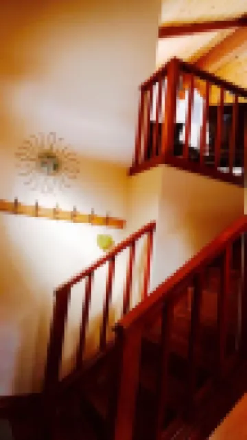 Family-Friendly, Pet-Friendly, Tree-Surrounded Tahoe City Vacation Home