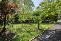 Love in the Mist cabin (new listing) 埃默拉爾德住宿飯店