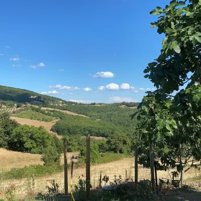 The little house of no time upstairs