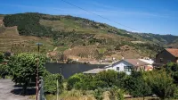 Casa no Coração do Douro com Piscina