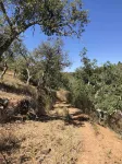 QUINTA DA CORTE - Alentejo estate in 9 hectares of countryside 10 minutes from the beach