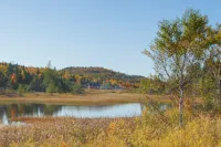 Appalachian Chalets & RV - Pet friendly
