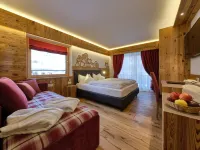 Cimon Dolomites Hotel Hotels in Predazzo