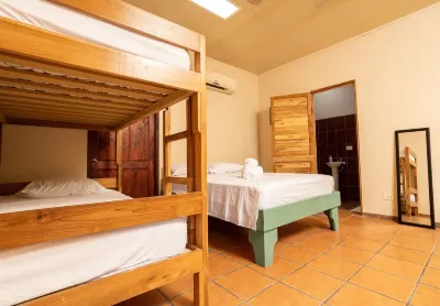 Hostel Papalotes