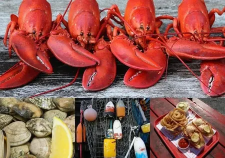 Extended Stay Brunswick