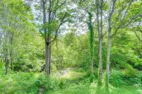 Walk to Historic Maryville: True Southern Getaway! Hotels in Maryville