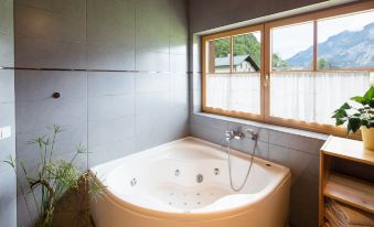 W & S Executive Apartments - Hallstatt II