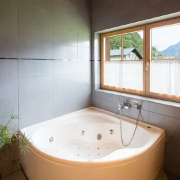 W & S Executive Apartments - Hallstatt II