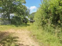 Lower West Curry Cottage