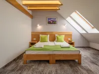 Hotel Bachledówka Hotels in Nowy Targ County