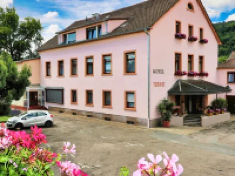 Hotel Tenner Hotels in Neustadt an der Weinstraße
