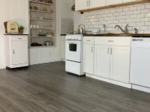 Pet Friendly 1 BR Apartment in Uptown Kingston + Huge Backyard & Full Kitchen キングストンのホテル