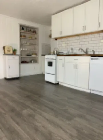 Pet Friendly 1 BR Apartment in Uptown Kingston + Huge Backyard & Full Kitchen