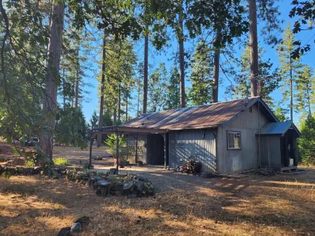 Forest Cottage Retreat
