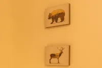 萊阿爾皮睡床&生活