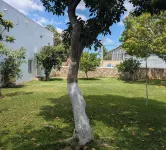 Carambola Rooms Отели в г. 