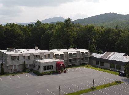 그레이 본넷 인